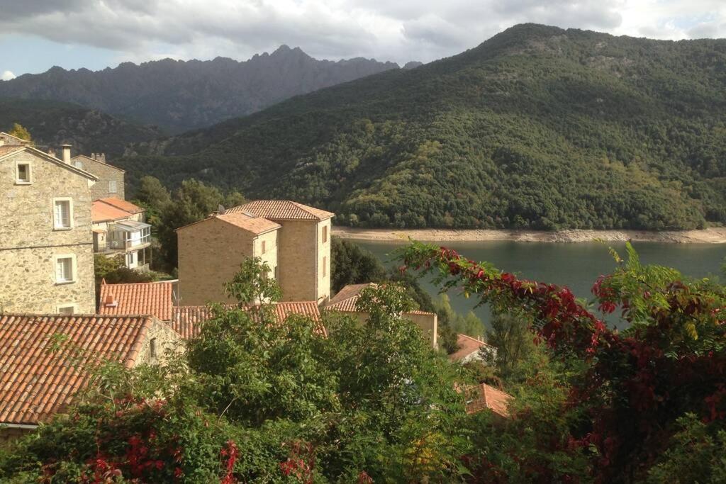 Apartment T2 Sanguinaires Calme Et Cosy, Entre Et Maquis Ajaccio (Corsica)